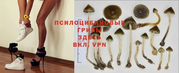 прущий лед Абаза