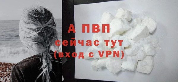 прущий лед Абаза