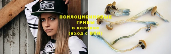 прущий лед Абаза