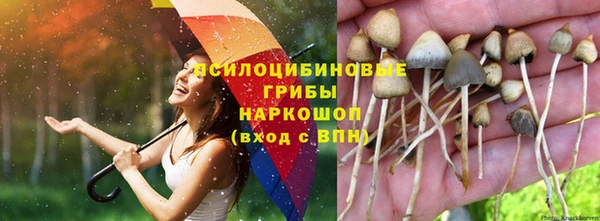 прущий лед Абаза